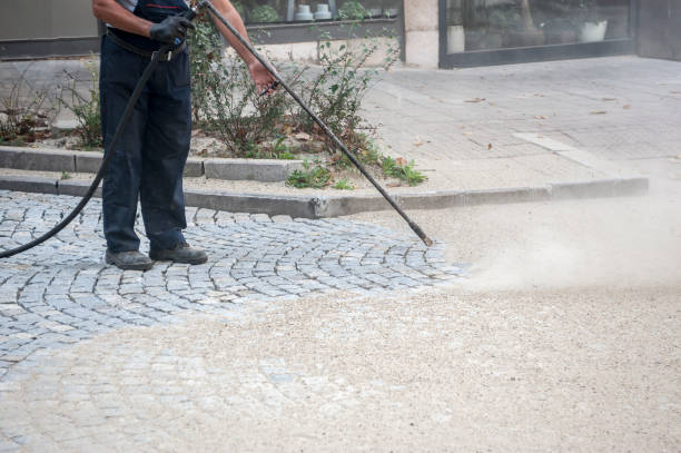 Best Animal Enclosure Cleaning  in Rosenhayn, NJ