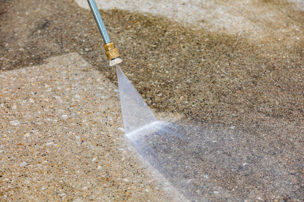 Best Dumpster Area Cleaning  in Rosenhayn, NJ