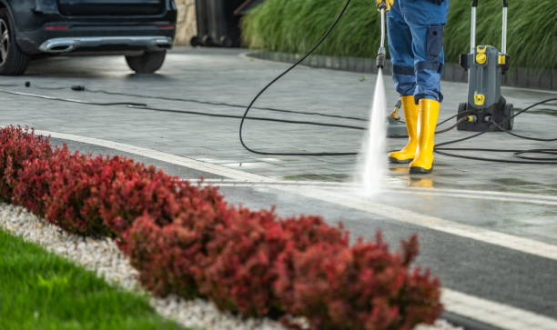 Best Patio and Deck Pressure Washing  in Rosenhayn, NJ